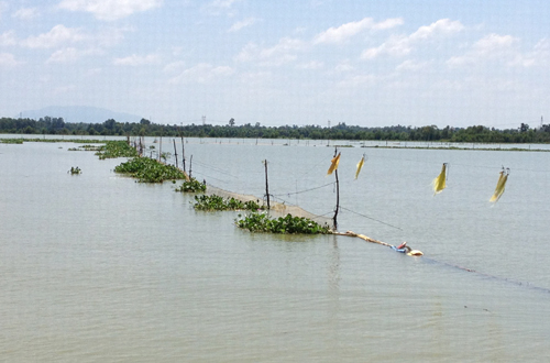Đồng Nai